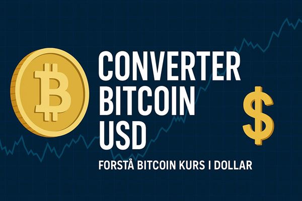Converter bitcoin usd - forstå bitcoin kurs i dollar