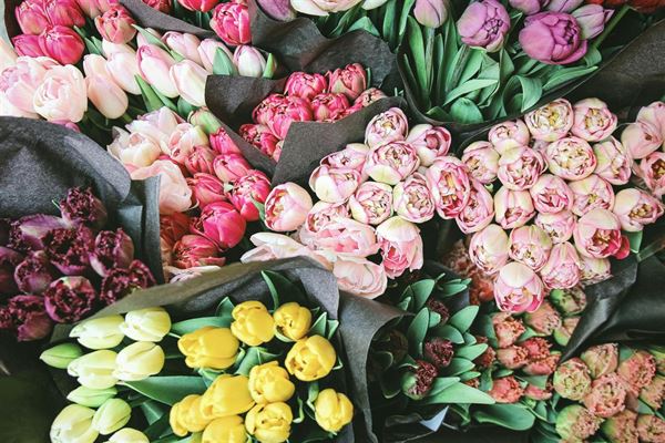 Blomsterhandler online - køb skønne blomster hos en webshop