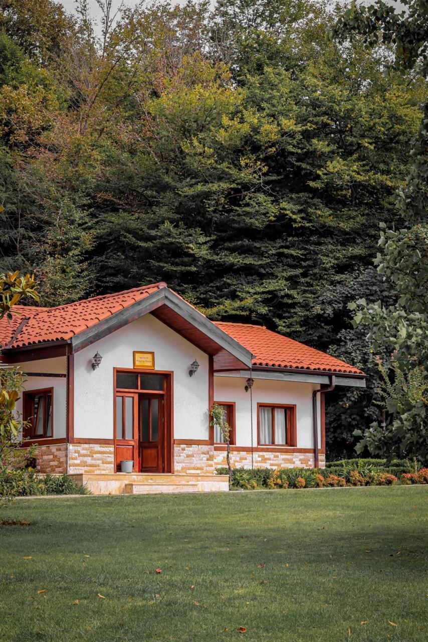 4 ting du skal være opmærksom på, ved bekæmpelse af mår