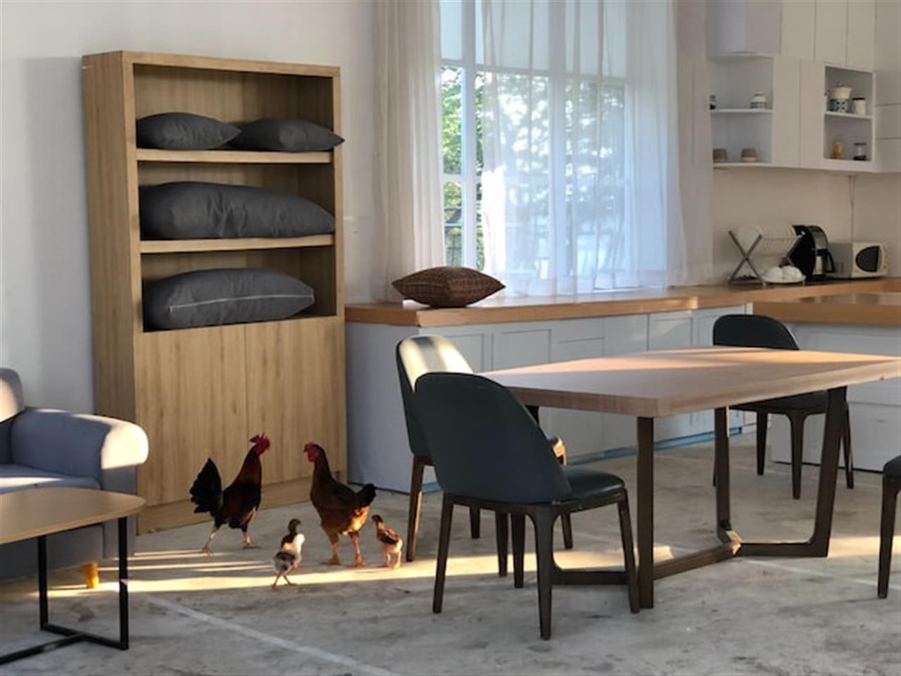 Opdater dine spisebordstole med tilbud