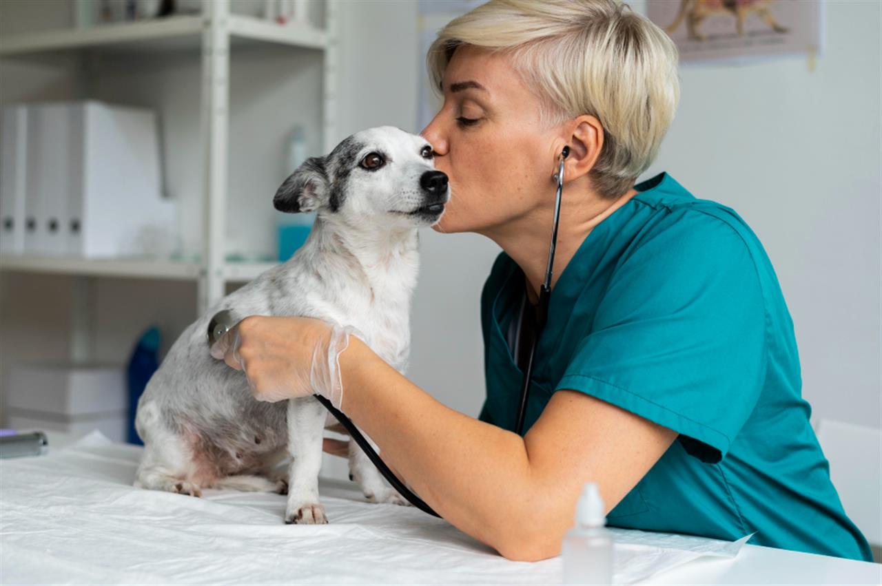 Find dit hundefoder online hos mypets.dk